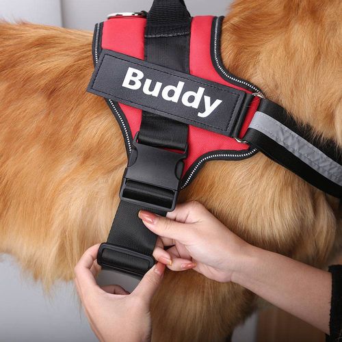 No Pull Personalized Breathable Dog Harness - 49% OFF TODAY