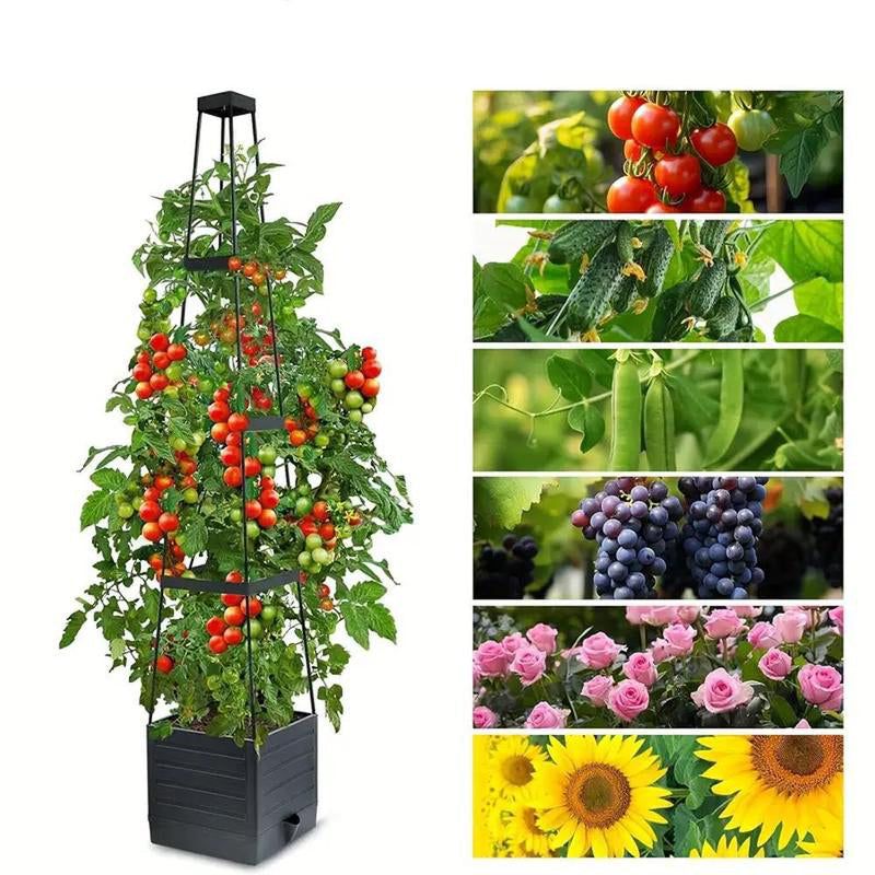 🍅Self-Watering Tomato Planting Box Set Climbing Plants Holder