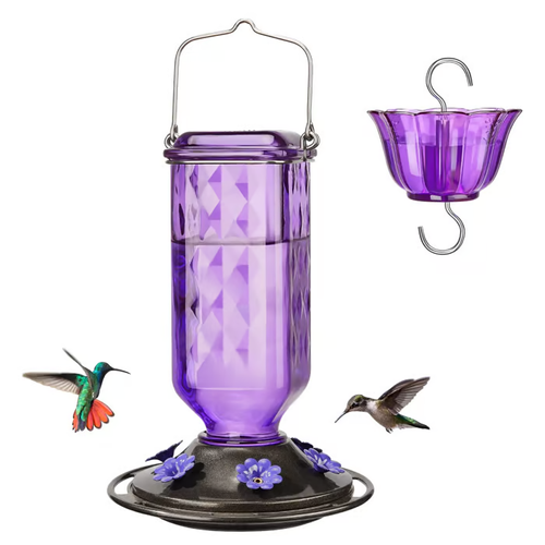 💥Glass Hummingbird Feeder