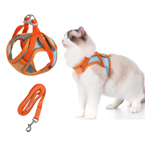 Cat Harness & Leash