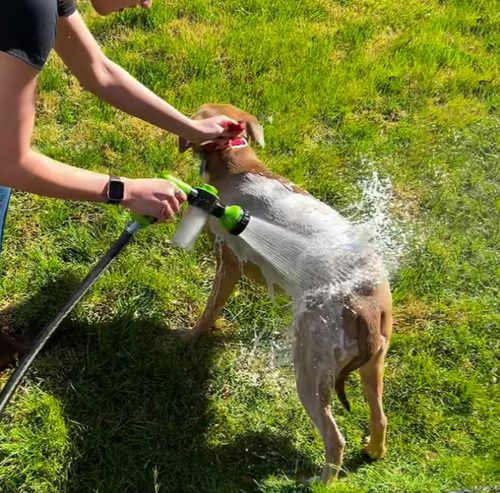 😍Multi-in-one pet bath spray comb 🐕high pressure car wash💦 watering spray gun🌷