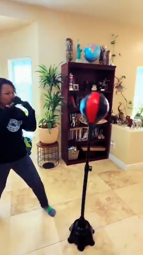 Kids Boxing Stand + Gloves and Pump (Height-Adjustable)