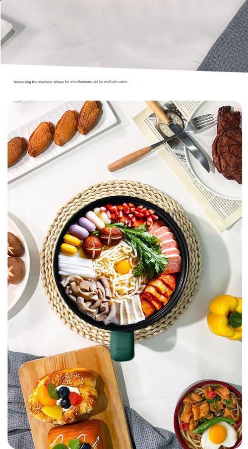 Portable Mini Multi-Functional Cooker