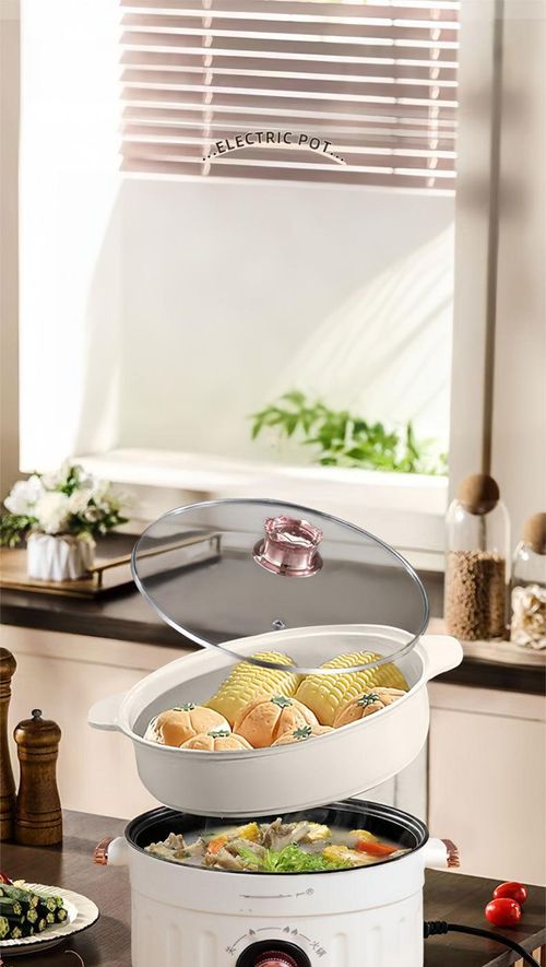 electric cooker