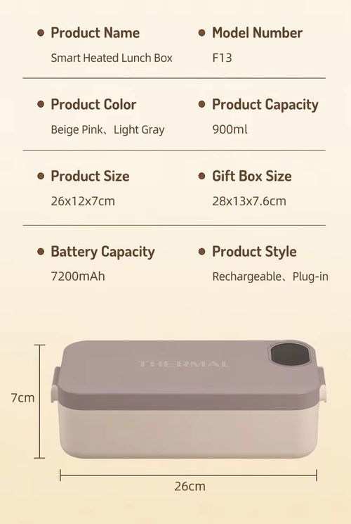 electric lunch box