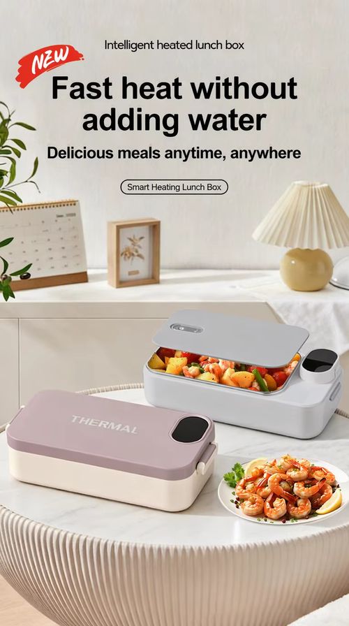 electric lunch box