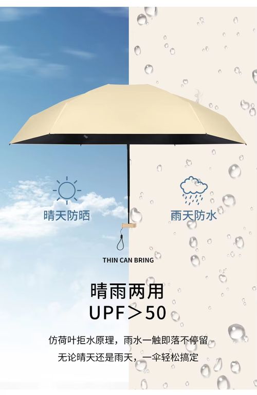 umbrella