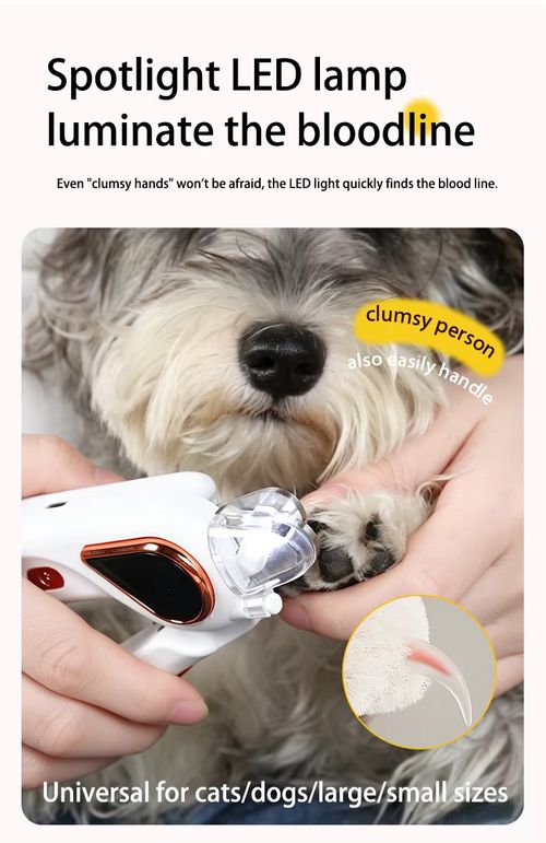 PetClipper