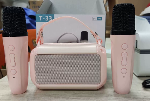 Furniture Built-In Small Portable Speakerphones Wireless for Karaoke Portable Audio Player School Loa Kéo Karaoke with 2 Mic