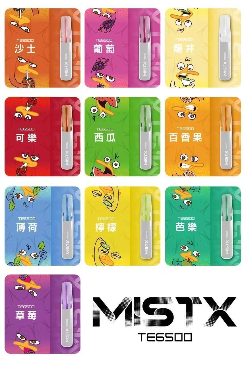 MISTX TE6500鴨嘴獸6500口拋棄式電子煙 以6500口搭配陶瓷芯為重點，更看重結構與日用手感