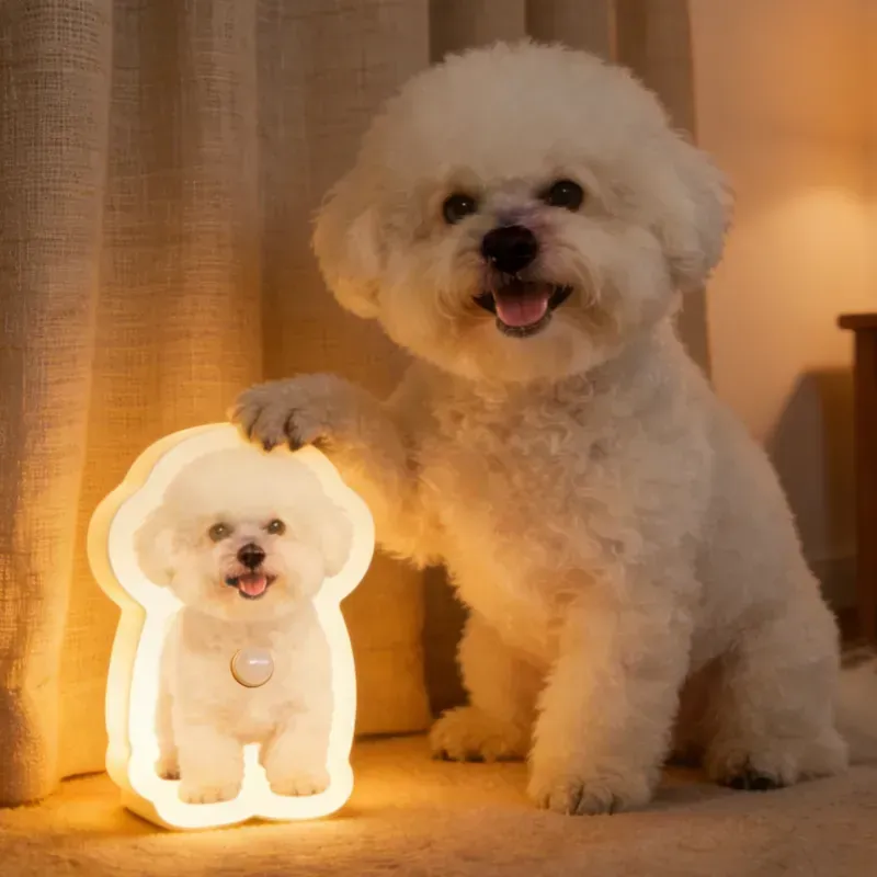 🐾Personalisiertes Katzen- & Hundebewegungsmelder-Nachtlicht – Individuelle Wandlampe mit Haustierfoto – Ein kleines Licht von Ihrem besten Freund