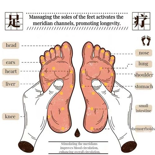 Acupressure Foot Reflexology Cotton Socks With Massage Tool Sticks Sets
