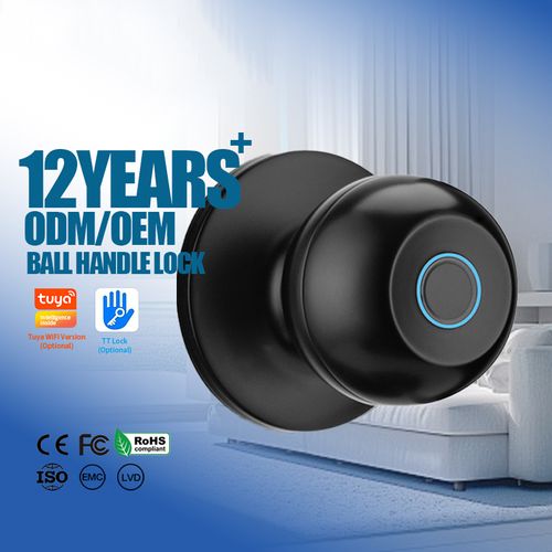 Apartment bedroom biometric fingerprint spherical knob cylindrical handle lock round knob electric lock