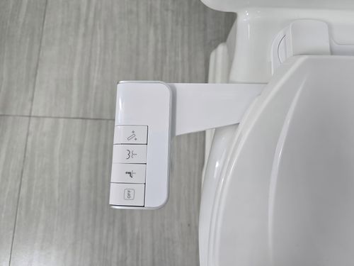 Modern ABS Design Self-Cleaning Bidet Toilet Attachment for Women Non-Electric for Bathroom Use Bidet