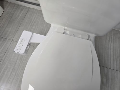 Modern ABS Design Self-Cleaning Bidet Toilet Attachment for Women Non-Electric for Bathroom Use Bidet