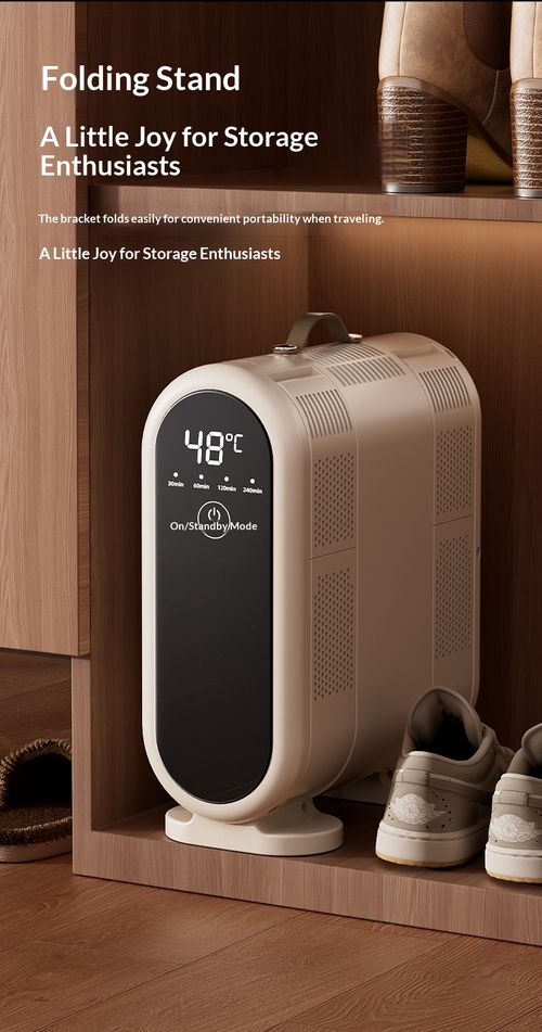 Odor-removing and germ-killing intelligent shoe dryer