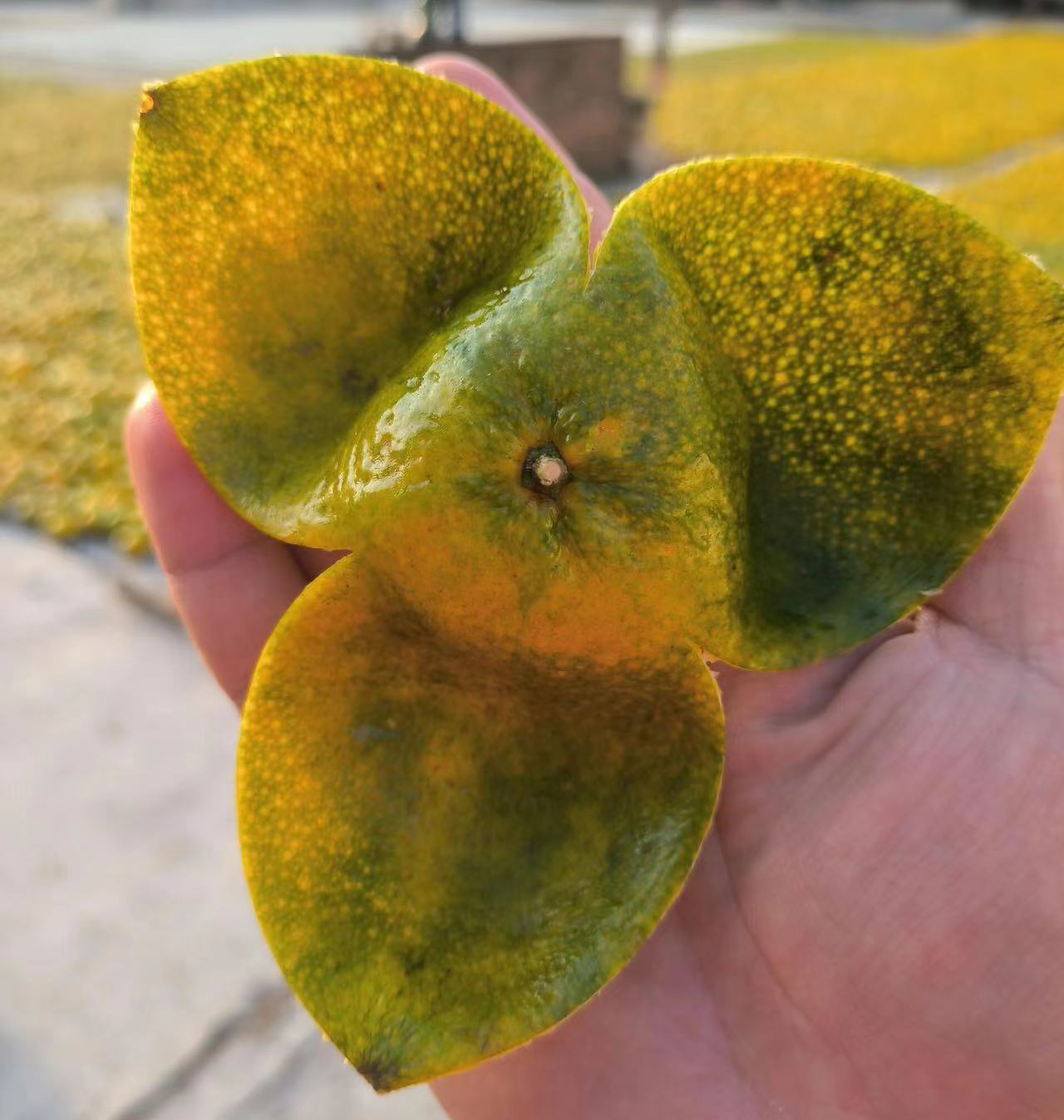 one tael tangerine peel just as one tael gold! Six major efficacies of it from Traditional Chinese medicine records