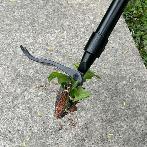 Vertical weed remover New detachable weed puller（without handle）