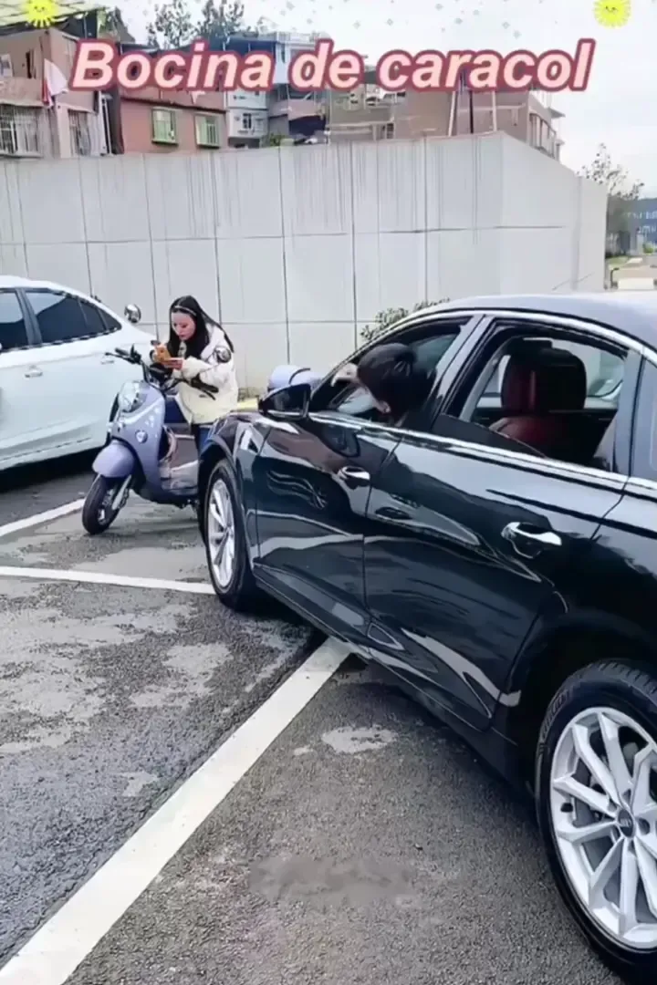 🚨110DB Train Horn—Small Size, BIG Sound!&🔥Modified 12V snail horn for motorcycles, universal 150dB tweeter, waterproof car horn🔥