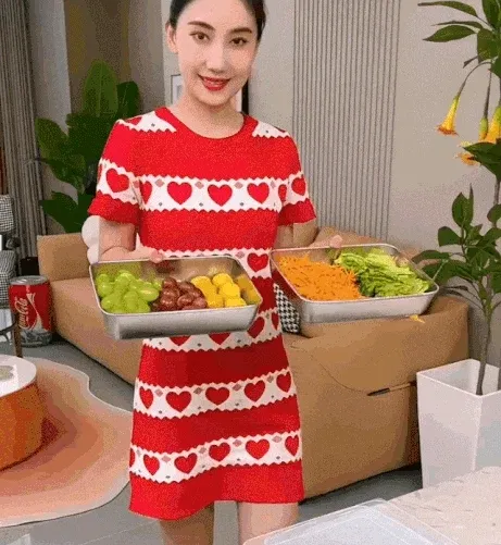 Stainless Steel Square Plate（With Lid）5PCS