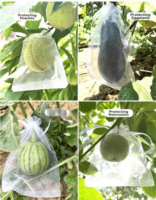 100 pieces of breathable mesh fruit protection bags, with the functions of pest prevention and bird repulsion