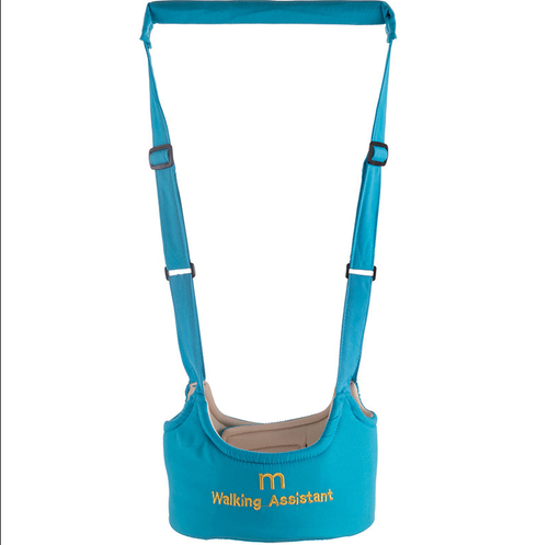 Infant Safety Carrier