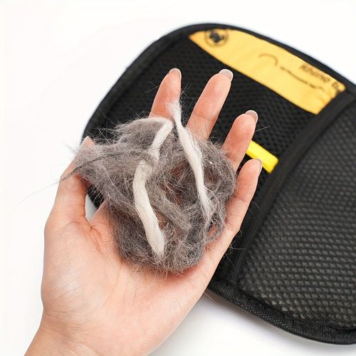 Hair Removal Brush