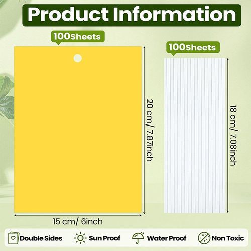 Insect Traps