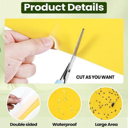 Insect Traps