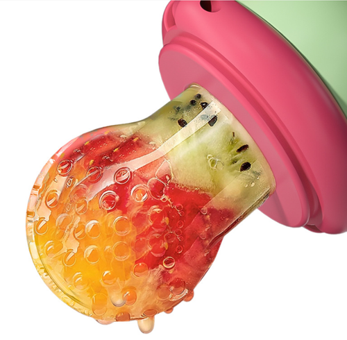 Fruit Pacifier