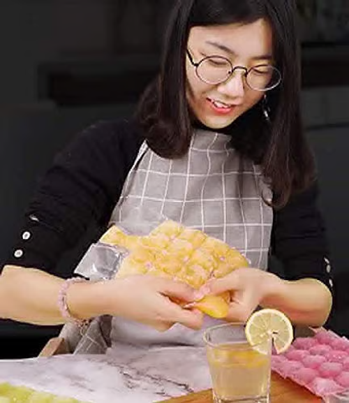 Disposable Ice Cube Bags