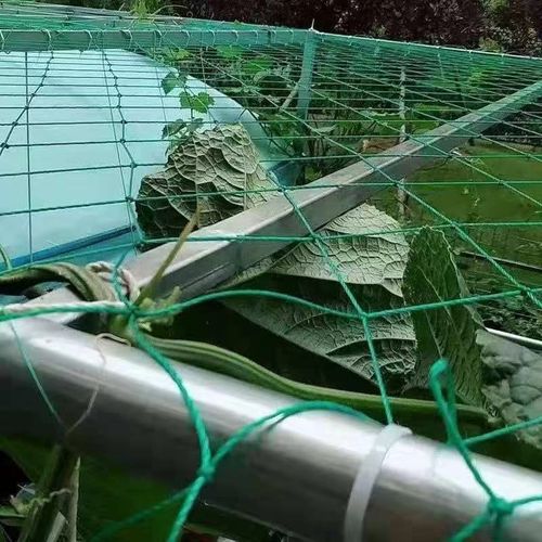 Plant Climbing Net