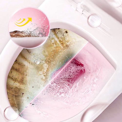 Toilet Cleaning Sticks