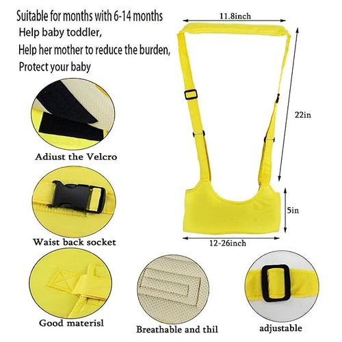 Walking  Belt