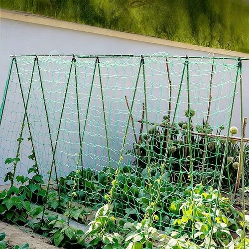 Plant Climbing Net