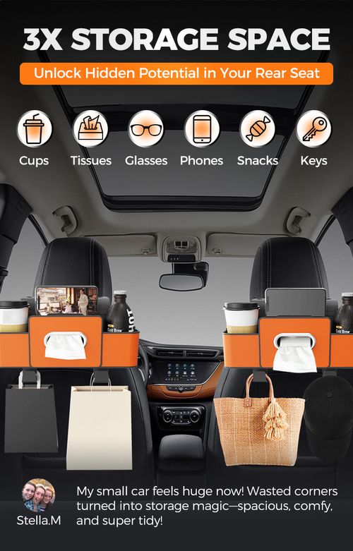 Backseat Organizer for Cars