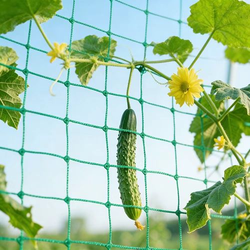 Plant Climbing Net