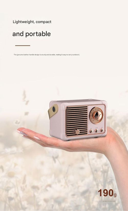 Pink Mini Retro Bluetooth Speaker - Portable Wireless Speaker with FM Radio | USB | TF Card