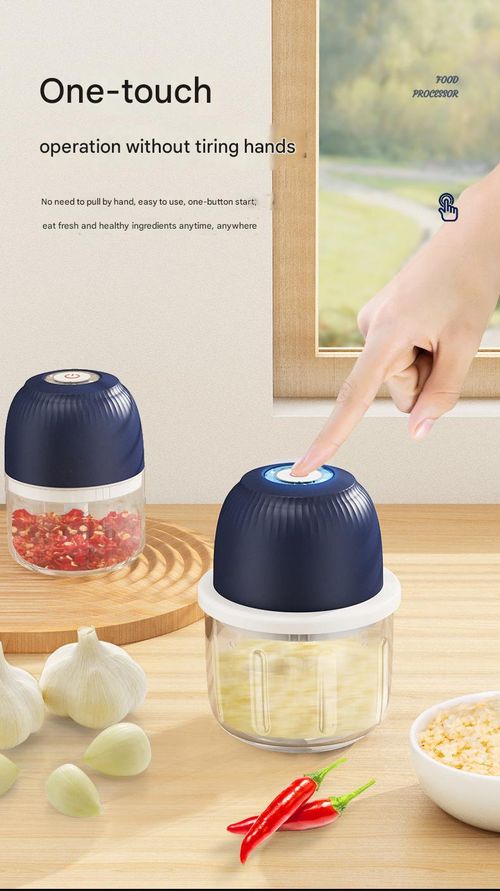 Electric Meat Grinder - Rapid Chopping for Mince, 350ml Reinforced Glass Bowl & Garlic Processor