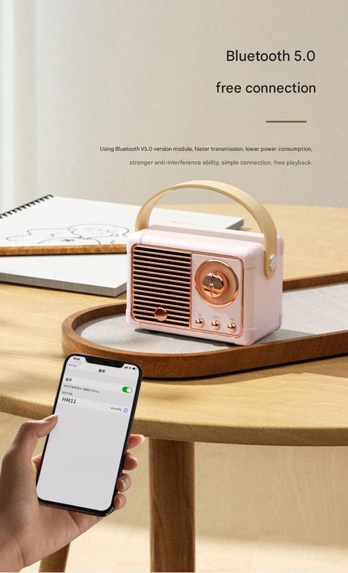 Pink Mini Retro Bluetooth Speaker - Portable Wireless Speaker with FM Radio | USB | TF Card