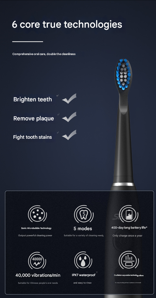 Sonic Electric Brush: USB-C Fast Charge, 30dB Ultra-Quiet - OEM Customizable
