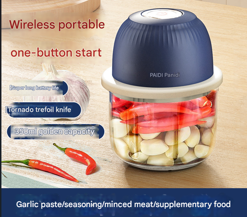 Electric Meat Grinder - Rapid Chopping for Mince, 350ml Reinforced Glass Bowl & Garlic Processor