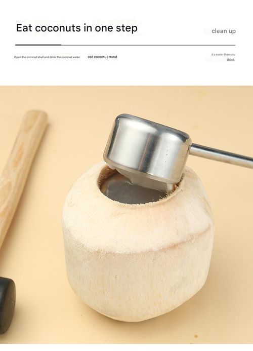 Coconut Opener Tool - Portable Stainless Steel Coconut Shell Cutter for Young Coconuts | Quick Opening & Cutting Tool for Fruits