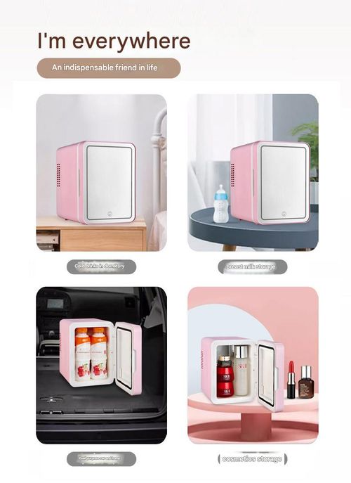 4L Dual-Use Pink Cooler w | LED Vanity Mirror - Car & Home Mini Fridge for Skincare & Drinks