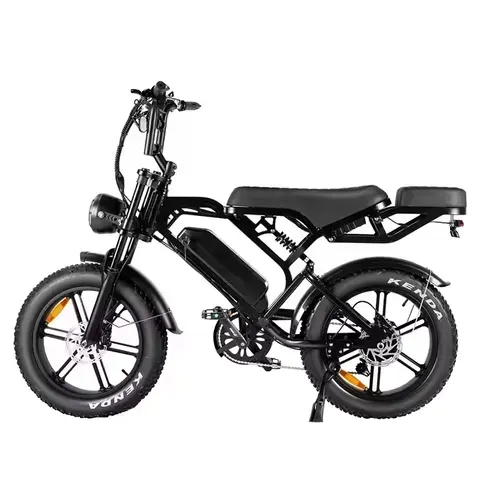 Fat tire electric variable speed bicycle V20