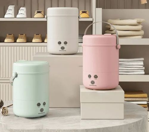 A 4 to 5-liter mini portable washing machine with a touch screen design