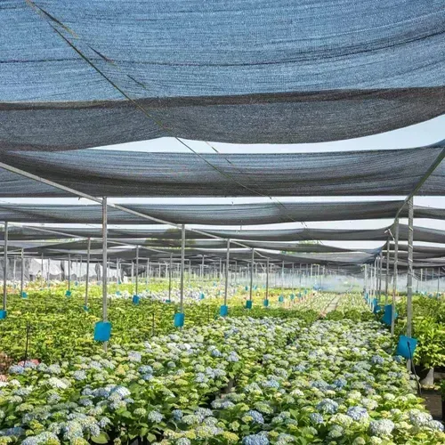 Home Garden Camping Agriculture Vegetable Nursery Sunshade Net