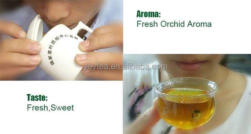 Jasmine Green Tea
