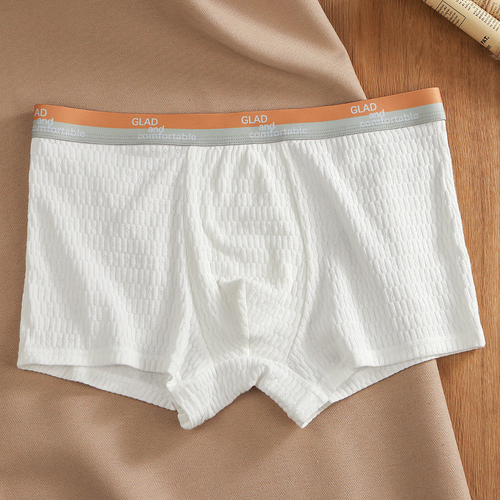 Seamless Men's Boxer Briefs Cotton Underwear Boxer Briefs for Men Comfortable Men's Cotton Shorts Underwear, Color: Light