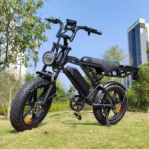 Fat tire electric variable speed bicycle V20